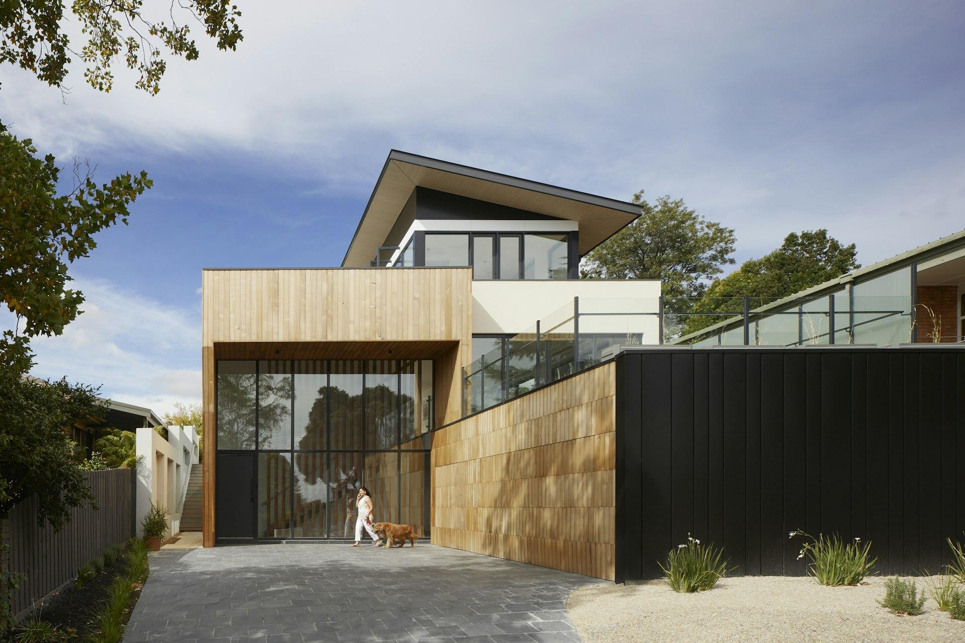 Modern house with timber and black cladding